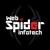Web Spider Infotech Logotype