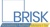 Brisk Logotype