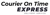 Courier On TIme Express Logotype