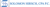 Solomon Hirsch CPA PC Logotype