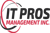 IT Pros Management Logotype