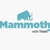 Mammoth Technologies LLC Logotype
