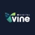Vine Digital Logotype
