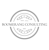 Boomerang Consulting Logotype