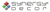 Synergy Decor Logotype