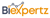 BI Expertz Logotype