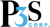 P3S Corporation Logotype