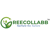 Reecollabb Logotype