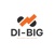 DI BIG LLC Logotype
