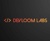DevLoom Labs Logotype