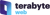 TeraByte Web Logotype
