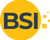 Business Software India Logotype