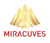 Miracuves Solutions Pvt. Ltd. Logotype