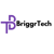 Briggr Technologies LTD Logotype
