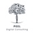 Peel Digital Consulting Logotype