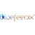 Blue Feenix Logotype