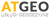 ATgeo Usługi Geodezyjne Logotype