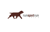 Run Spot Run Media Logotype