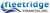 Fleetridge Financial, Inc. Logotype