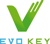 Evolution Key for Information Technology Logotype