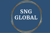 SNG Global solutions Logotype