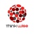 Thinkwise Consulting LLP Logotype