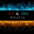 Ice & Fire Digital Logotype