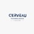 Cerveau Technologies Private Limited Logotype
