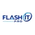 Flash IT Pro Logotype