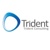 Trident Consulting Inc Logotype