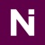 Netiks International Logotype