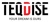 Teqdise Group Logotype