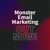 Magnet Monster Logotype
