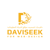 DAVISEEK FOR WEB-DESIGN Logotype