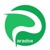 Paradox Web Design London Stratford Logotype