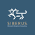 Siberus Logotype