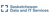 SaskData Services Logotype