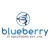 Blueberry IT Solutions Pvt Ltd Logotype