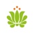 Ecoyaab S.A. DE C.V. Logotype