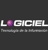 Logiciel Logotype