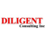 Diligent Consulting Inc Logotype