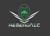 Hegemonic Softwares & Mobile Applications Logotype