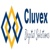 Cluvex Digital Solutions Logotype