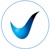 Validis Logotype
