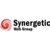 Synergetic Web Group Logotype