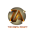 Zaisha Technologies Logotype