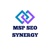 MSP SEO Synergy Logotype