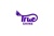 TRUE SHINE TECHNICAL SERVICES L.L.C Logotype