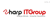 Sharp IT Group Logotype