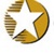 Star Global Logotype